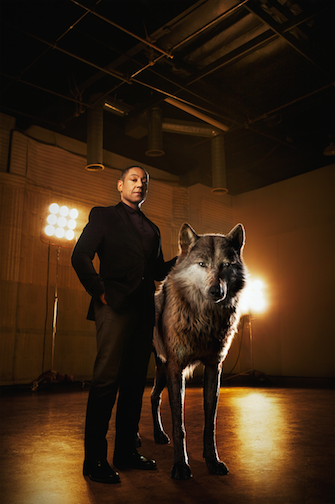 Giancarlo Esposito / Akela
Akela is the strong and hardened alpha-male wolf who shoulders the responsibility of his pack. He welcomes Mowgli to the family, but worries he may one day compromise their safety. "Akela is a fierce patriarch of the wolf pack," says Giancarlo Esposito, who voices the character. "He believes the strength of the pack lies in what each and every wolf offers. He's a great leader, a wise teacher."